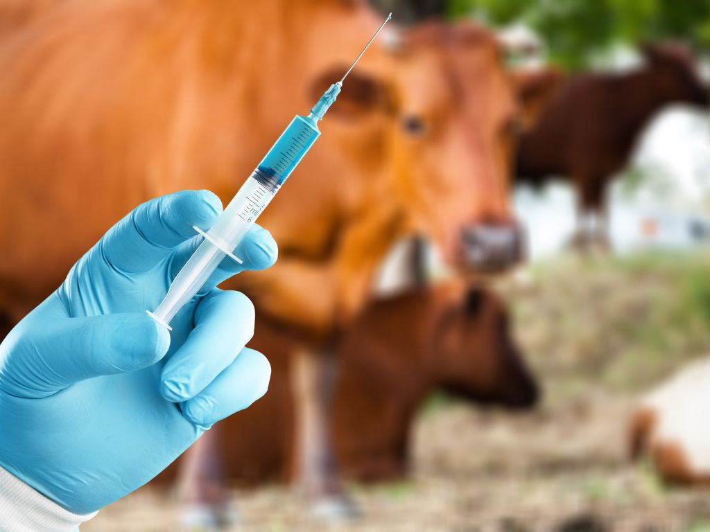 Primer Iljaševci razkril vrzel med izvedbo cepljenja in državno evidenco