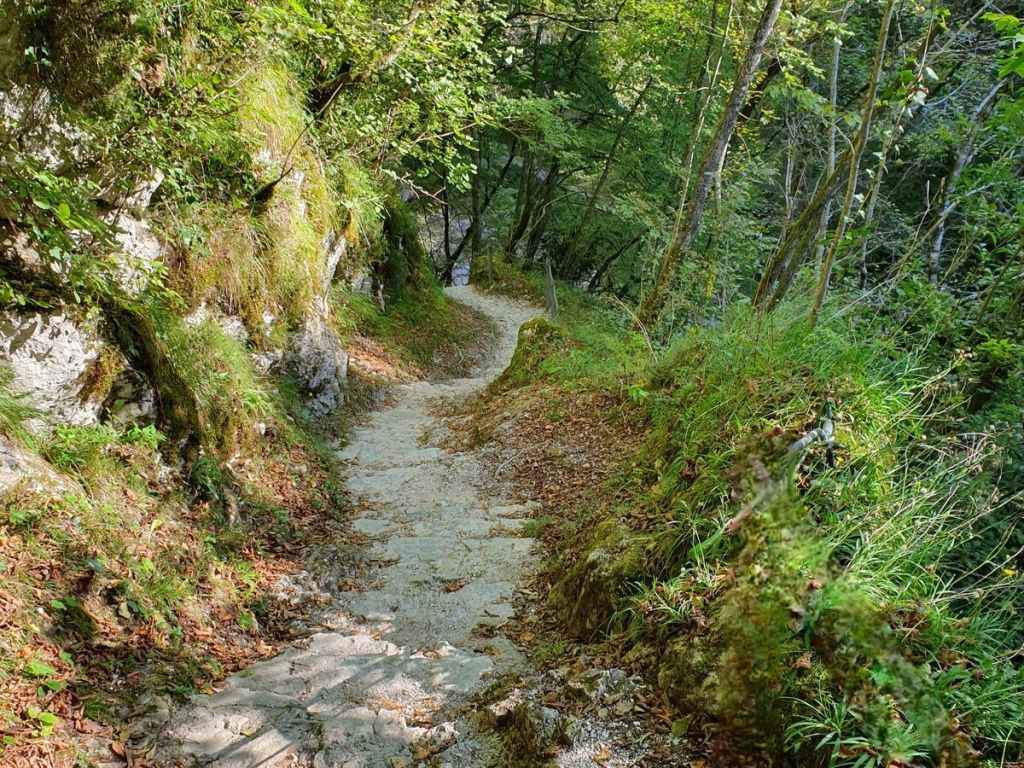 Pregled tedna: od želja do dogodkov