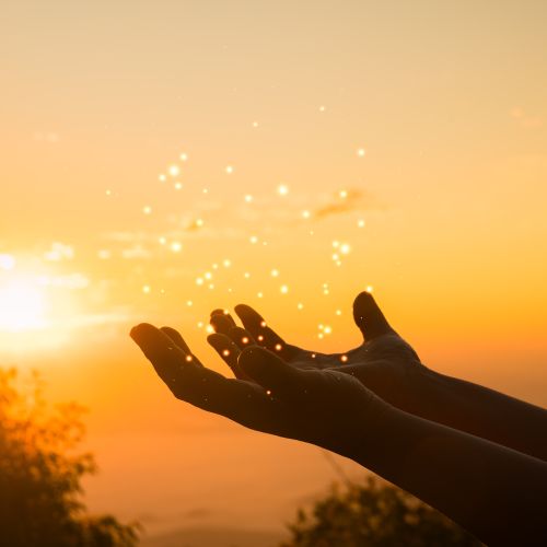 [Duhovna misel] Blagor božjim norcem