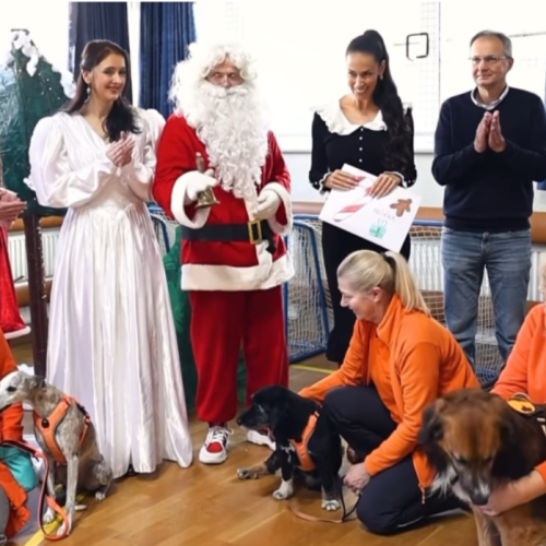 Tina Gaber, Božiček, Center Janeza Levca