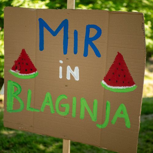 Kaloh in Kordiš z enako idejo, kdo bo pobral politične točke?