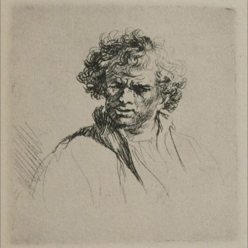 a-man-with-curly-hair-1635.jpgHalfHD.jpg