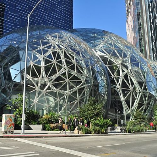 amazon_sedez.jpg
