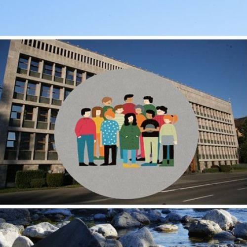 anketa-pop-tv.jpg