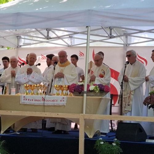 Škof Šuštar: Domoljubje ni vzvišenost, pač pa hvaležnost za lastno družino in narod