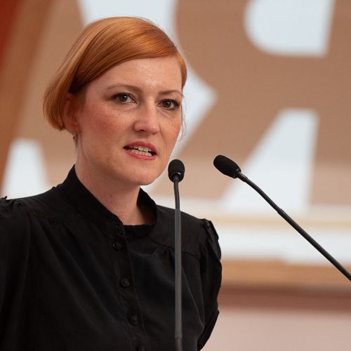 (Ne)kulturno deljenje kulturnega denarja
