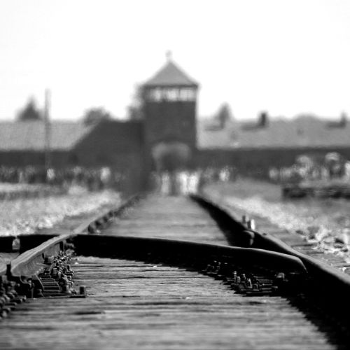 birkenau-402324_960_720.jpg