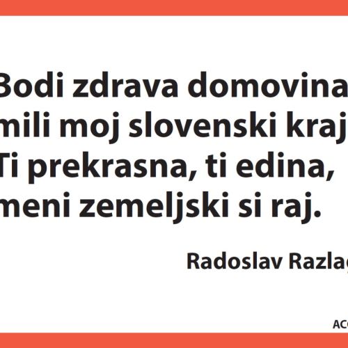 Plakati, ki izzivajo – svoboda izražanja na tehtnici