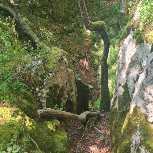[Prejeli smo] Glas Antigone in slovenska Srebrenica