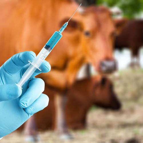 Primer Iljaševci razkril vrzel med izvedbo cepljenja in državno evidenco
