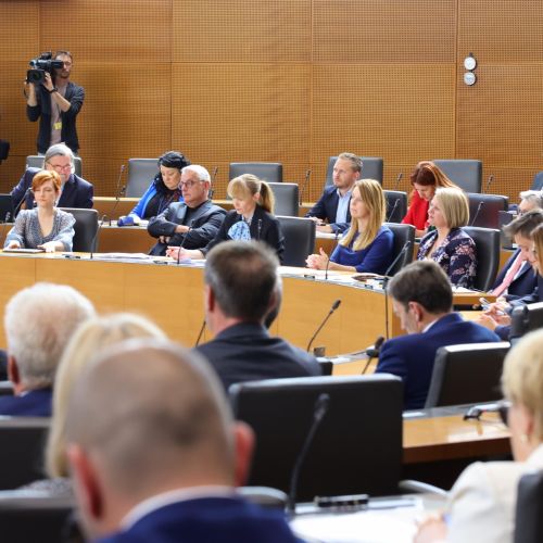 Od »politične prostitucije« do »pocestniškega obnašanja«: kakšna je raven razprave predstavnikov ljudstva
