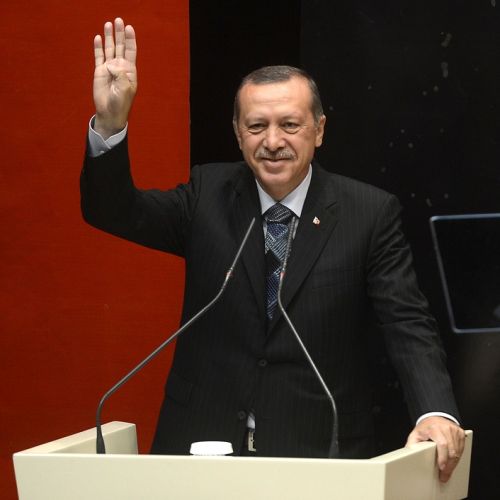 erdogan-2155938_960_720.jpg