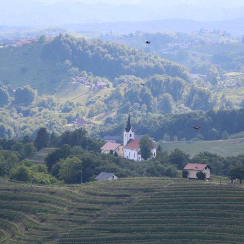 gorice-cerkev-slovenija.jpg