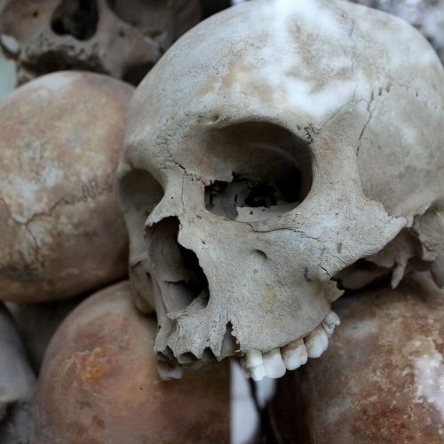 skulls-g4f0ff3ce9_1920.jpg
