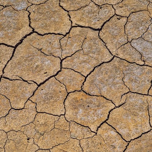 ground-4257252_960_720.jpg