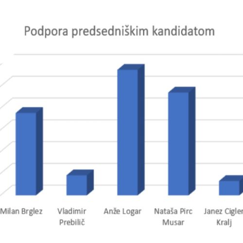 javnomnenjska-ninamedia-predsedniske.jpg