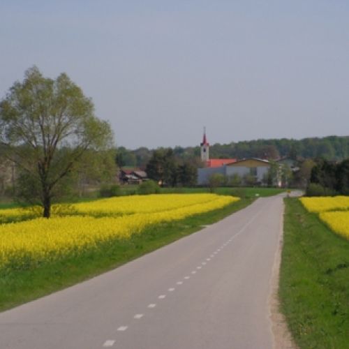 kobilje.jpg