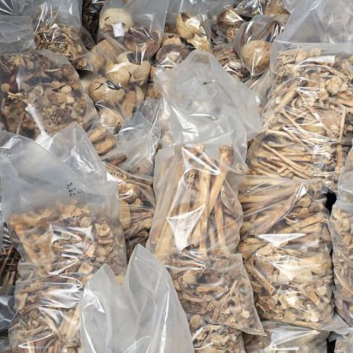 [Prejeli smo] Referendum o pomoči pri samomoru