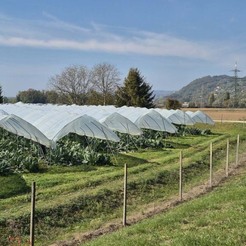 Cesta Krško–Brežice: uradna mnenja pozitivna, kmetje zahtevajo drugačno traso