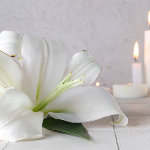 Narod, ki gradi na smrti, ne more preživeti