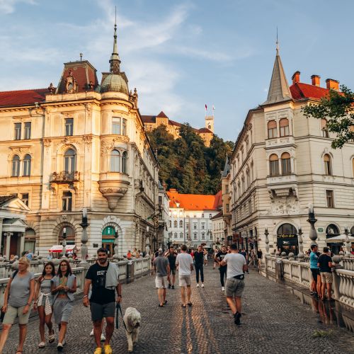 Ljubljančani si sami plačujejo glasilo, ki jih (pre)vzgaja