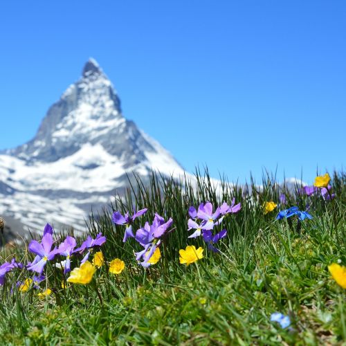 matterhorn-švica.jpg