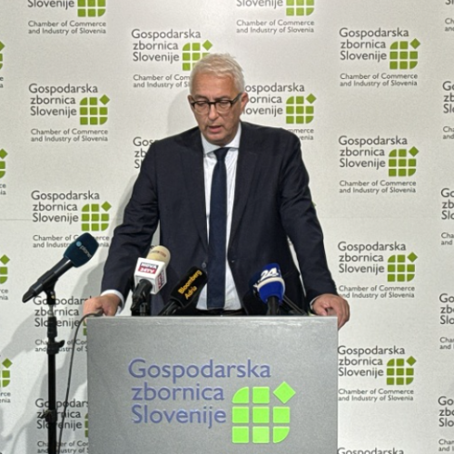 Delodajalci se sprašujejo, ali vladna stran razume socialni dialog