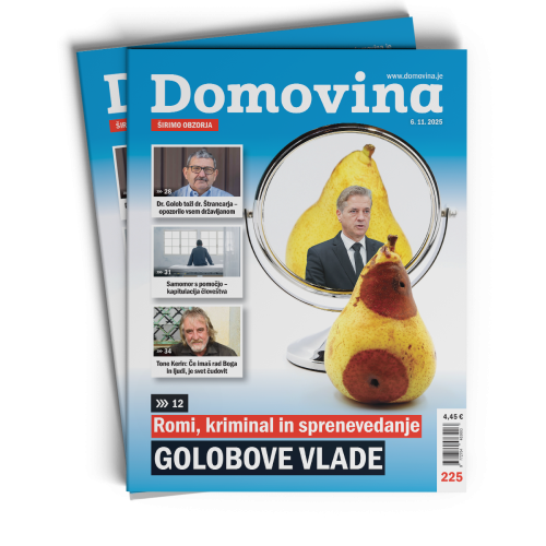 Domovina 225: Romi, kriminal in sprenevedanje Golobove vlade