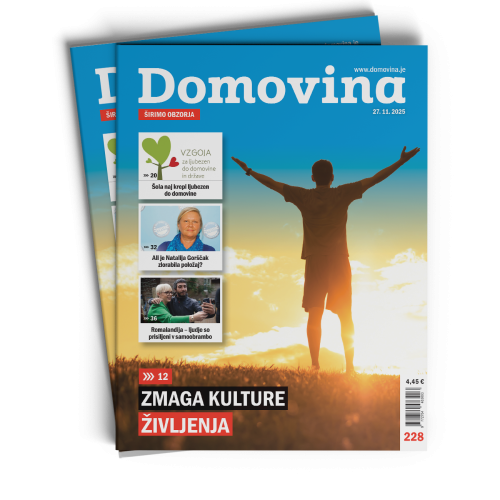 Domovina 228: Zmaga kulture življenja