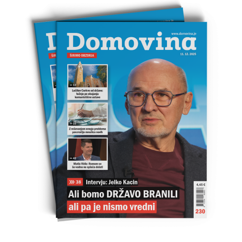 Domovina 230: Ali bomo državo branili ali pa je nismo vredni
