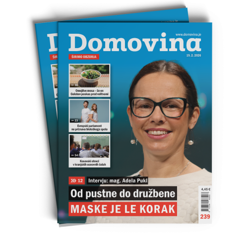 Domovina št. 239: Od pustne do družbene maske je le korak