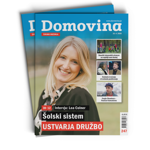 Domovina št. 247: Šolski sistem ustvarja družbo
