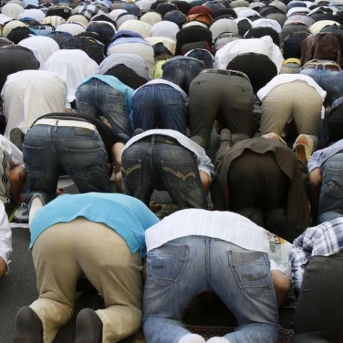 muslimani-v-evropi.jpg