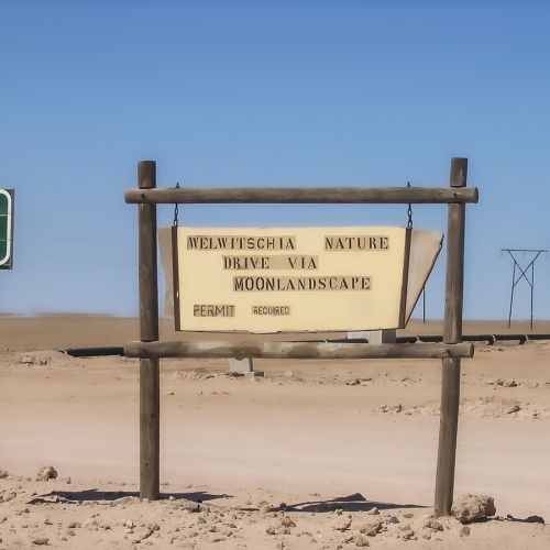 Namibija (3/5): Sredi pekla raste mogočna roža