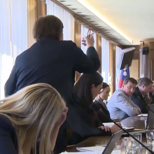 Leteči poslovnik in druga »orožja« Nataše Sukič