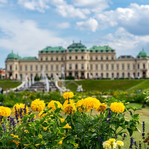 [Duhovna misel] Kristus Kralj se ne sprehaja po vrtovih in palačah (nedelja Kristusa Kralja)