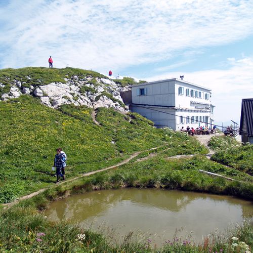 borec za slovenstvo in član organizacije Tigr