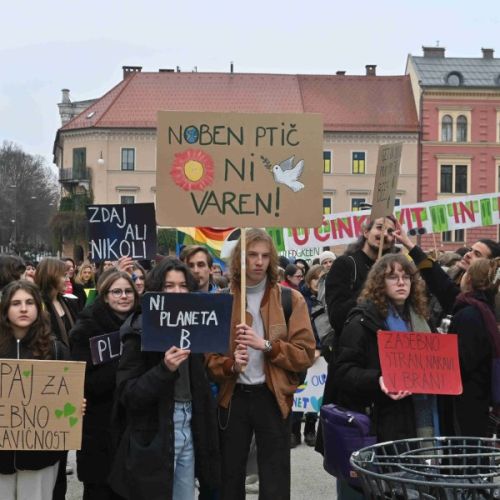 podnebni-protesti-2023-mladi-za-podnebno-pravicnost.jpg