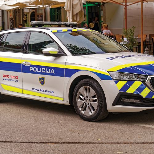 Bo Šutarjev zakon res vplival na obnašanje nasilnežev?