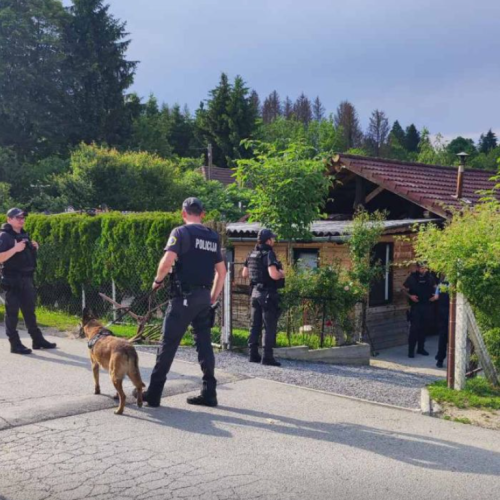 Romsko društvo mediju zagrozilo s kazenskimi ovadbami