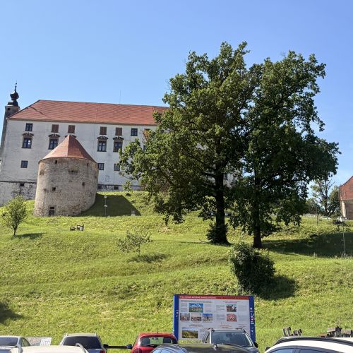 Zdaj je jasno: krivda za zamudo obnove ptujske žitnice je na strani ekipe ministrice Aste Vrečko