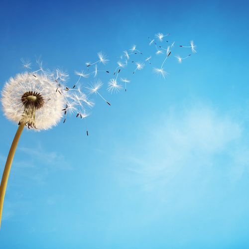 Življenje ali smrt? Življenje!