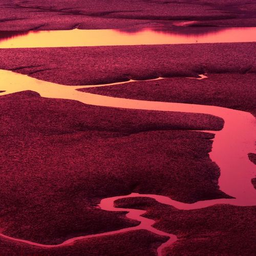 [Duhovna misel] Krst krvi