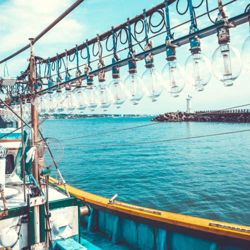 Invazija kitajskih ribiških flot s prikritimi vojaškimi in obveščevalnimi cilji