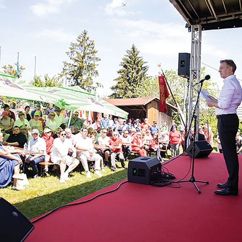 Nadaljnji prispevki k slovenski blaznosti