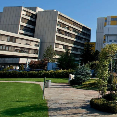 Avstrijska Koroška: kako so pred tremi desetletji depolitizirali bolnišnice