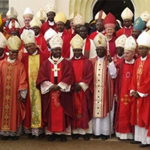 skofje-nigerija.jpg