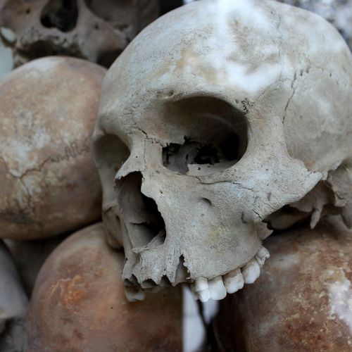 skulls-1433178_960_720.jpg