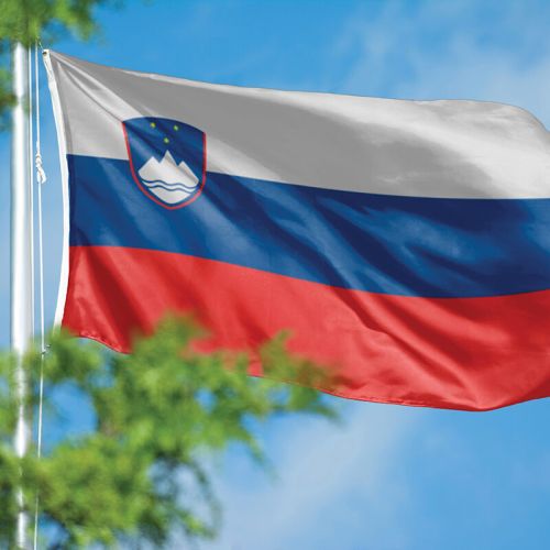 Kdo še zaupa Državni volilni komisiji?