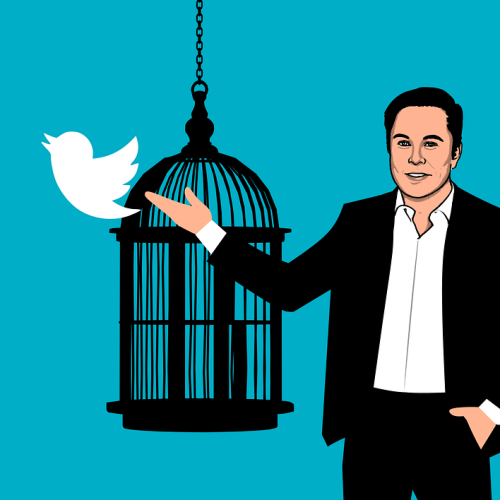 twitter_in_musk.png